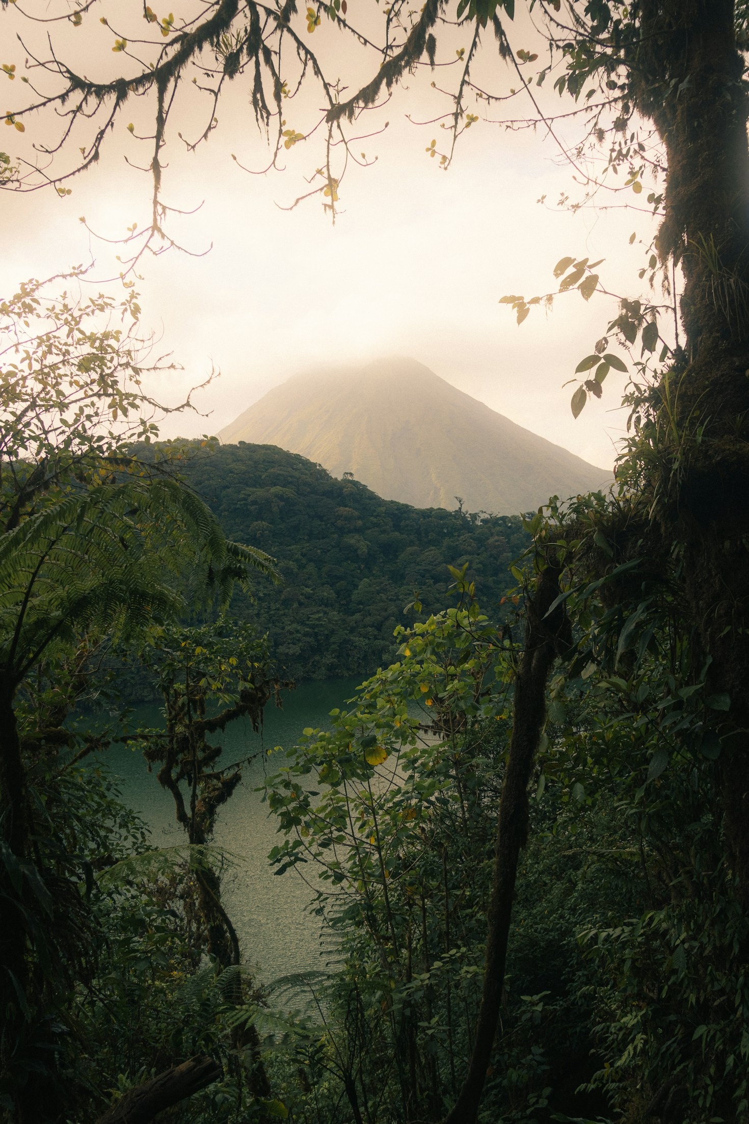 Connecting Through Curated Travel Experiences